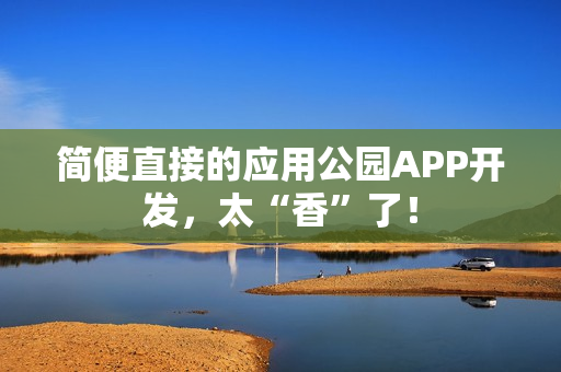 简便直接的应用公园APP开发，太“香”了！
