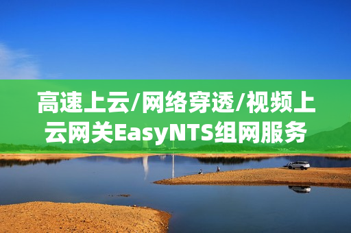 高速上云/网络穿透/视频上云网关EasyNTS组网服务在任务管理器中显示已停止是什么原因？