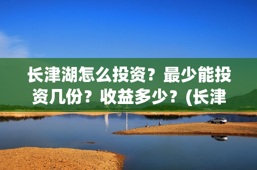 长津湖怎么投资？最少能投资几份？收益多少？(长津湖怎么参与投资)