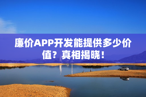廉价APP开发能提供多少价值？真相揭晓！