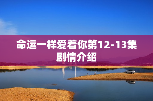 命运一样爱着你第12-13集剧情介绍 命运一样爱着你第12-13集剧情介绍
