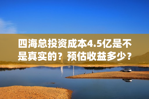 四海总投资成本4.5亿是不是真实的？预估收益多少？(四海 成本)