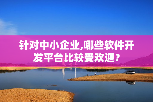 针对中小企业,哪些软件开发平台比较受欢迎？