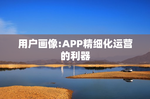 用户画像:APP精细化运营的利器
