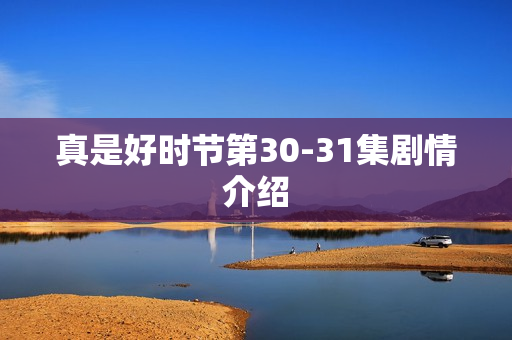 真是好时节第30-31集剧情介绍