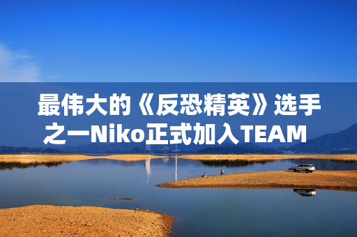 最伟大的《反恐精英》选手之一Niko正式加入TEAM RAZER