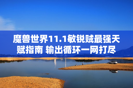 魔兽世界11.1敏锐贼最强天赋指南 输出循环一网打尽