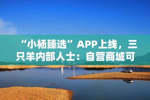 “小杨臻选”APP上线，三只羊内部人士：自营商城可更好地服务消费者，复播正准备中