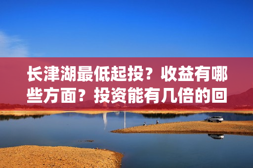 长津湖最低起投？收益有哪些方面？投资能有几倍的回报率？(长津湖2021tc)