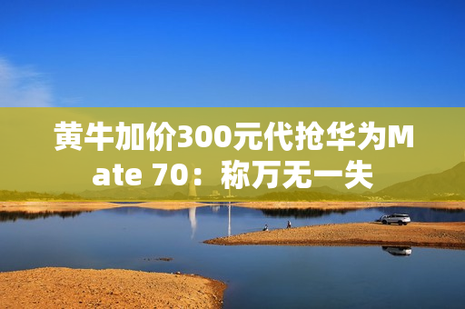 黄牛加价300元代抢华为Mate 70：称万无一失