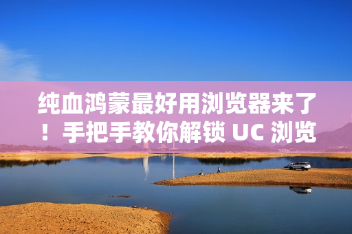纯血鸿蒙最好用浏览器来了！手把手教你解锁 UC 浏览器（文中有惊喜）