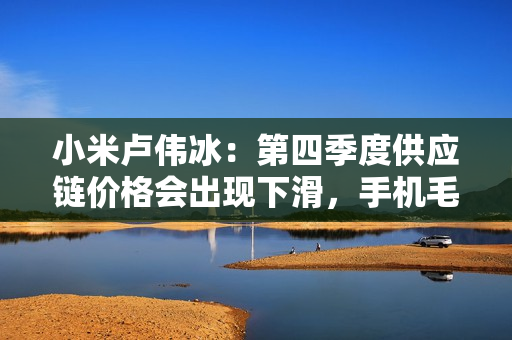 小米卢伟冰：第四季度供应链价格会出现下滑，手机毛利率表现会更好
