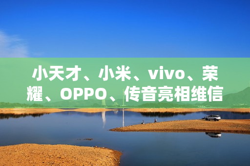 小天才、小米、vivo、荣耀、OPPO、传音亮相维信诺 F1 屏幕发光材料体系发布仪式