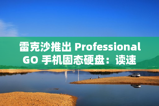 雷克沙推出 Professional GO 手机固态硬盘：读速 1050MB/s，999 元起