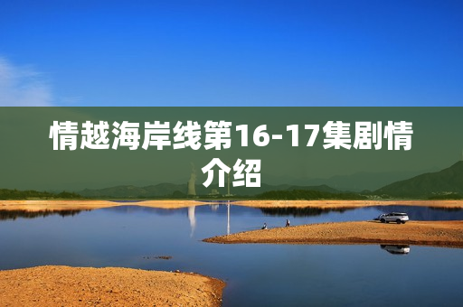 情越海岸线第16-17集剧情介绍