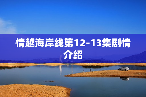 情越海岸线第12-13集剧情介绍