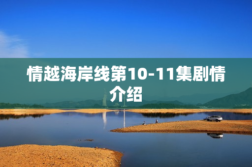 情越海岸线第10-11集剧情介绍