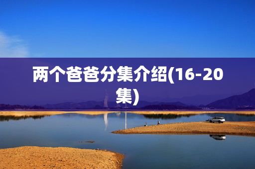 两个爸爸分集介绍(16-20集)