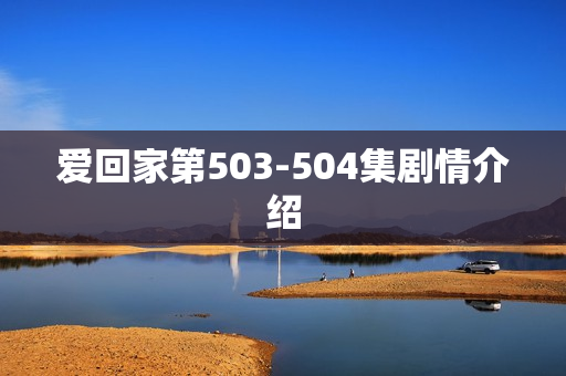爱回家第503-504集剧情介绍