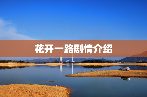 花开一路剧情介绍