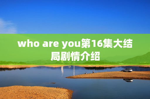 who are you第16集大结局剧情介绍