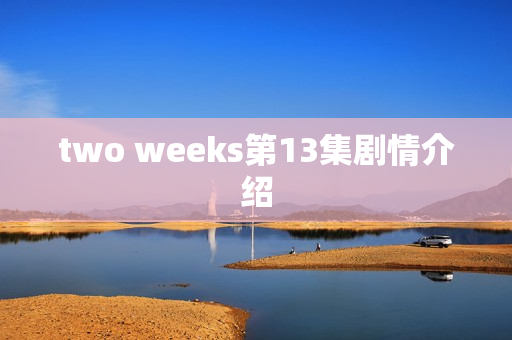 two weeks第13集剧情介绍