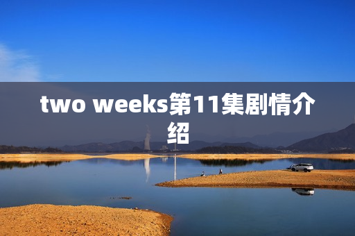 two weeks第11集剧情介绍 two weeks第11集剧情介绍