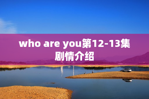 who are you第12-13集剧情介绍