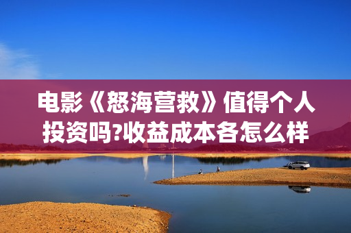 电影《怒海营救》值得个人投资吗?收益成本各怎么样?(电影怒海营救总投资)