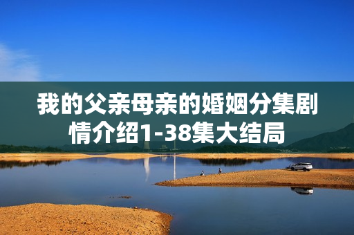 我的父亲母亲的婚姻分集剧情介绍1-38集大结局