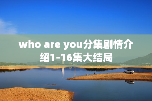 who are you分集剧情介绍1-16集大结局
