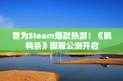 曾为Steam爆款热游！《鹅鸭杀》国服公测开启