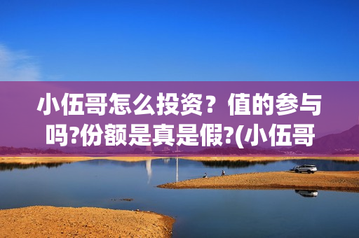 小伍哥怎么投资？值的参与吗?份额是真是假?(小伍哥出品方)