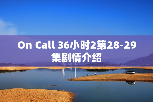On Call 36小时2第28-29集剧情介绍
