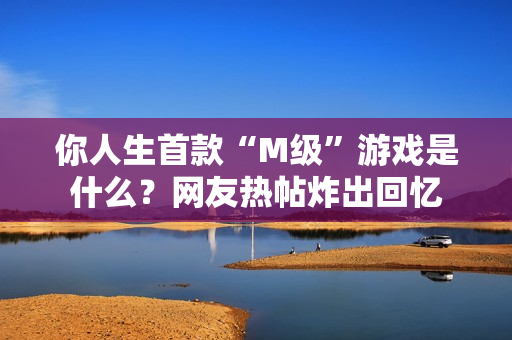 你人生首款“M级”游戏是什么？网友热帖炸出回忆