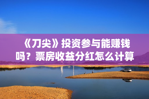  《刀尖》投资参与能赚钱吗？票房收益分红怎么计算和分配？(刀尖讲的是什么)