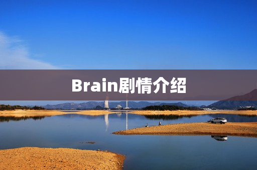 Brain剧情介绍