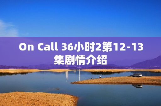 On Call 36小时2第12-13集剧情介绍