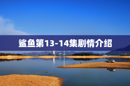 鲨鱼第13-14集剧情介绍