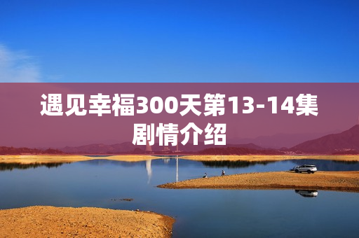 遇见幸福300天第13-14集剧情介绍 遇见幸福300天第13-14集剧情介绍