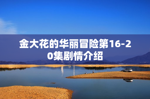 金大花的华丽冒险第16-20集剧情介绍