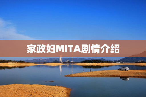 家政妇MITA剧情介绍