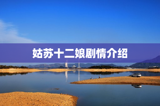 姑苏十二娘剧情介绍 姑苏十二娘剧情介绍