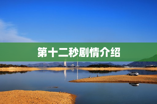 第十二秒剧情介绍