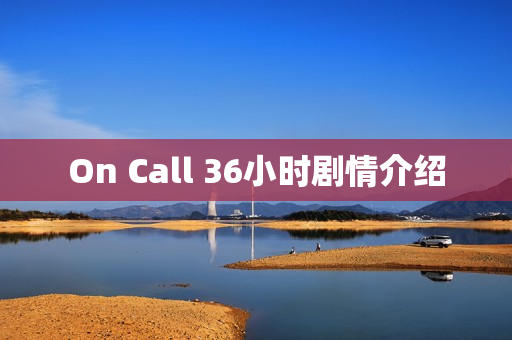 On Call 36小时剧情介绍