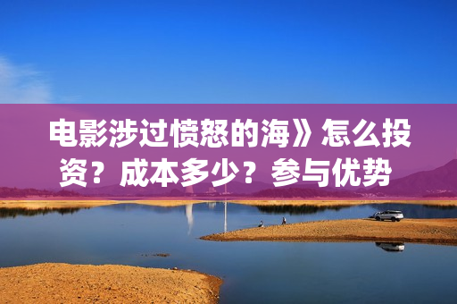 电影涉过愤怒的海》怎么投资？成本多少？参与优势 (电影涉过愤怒的海讲了什么)