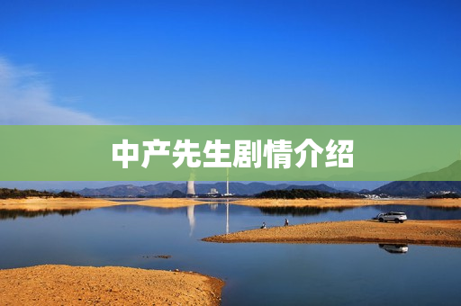 中产先生剧情介绍