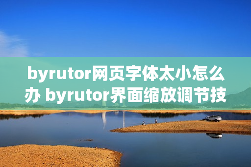 byrutor网页字体太小怎么办 byrutor界面缩放调节技巧【方法】