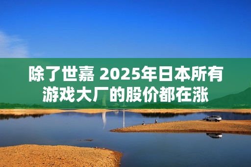 除了世嘉 2025年日本所有游戏大厂的股价都在涨