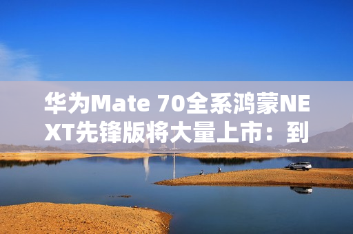 华为Mate 70全系鸿蒙NEXT先锋版将大量上市：到手就是纯血鸿蒙